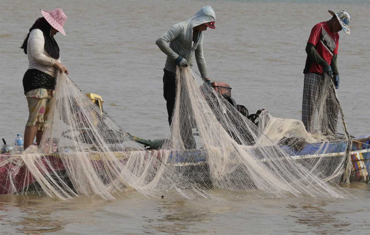 The key to restoring biodiversity around the globe is rivers